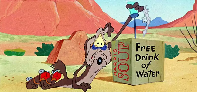 Warner Bros. shelves are fully completed - Coyotes vs. Coyotes.Acme - for the write-off of taxes.